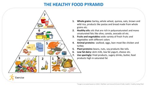 The Healthy Food Pyramid – Food Pyramid