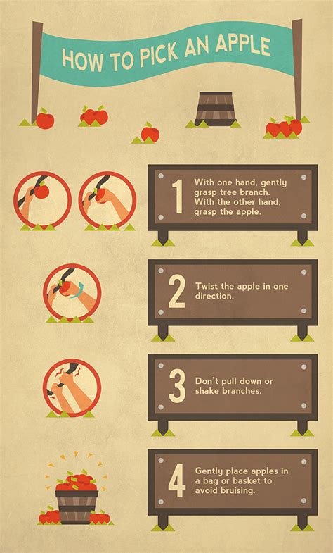 The Ultimate Guide To Apple Picking