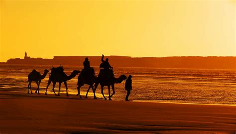 Morocco's 10 best beaches - Lonely Planet