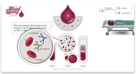 The Blood Typing Game | The Science Game Center