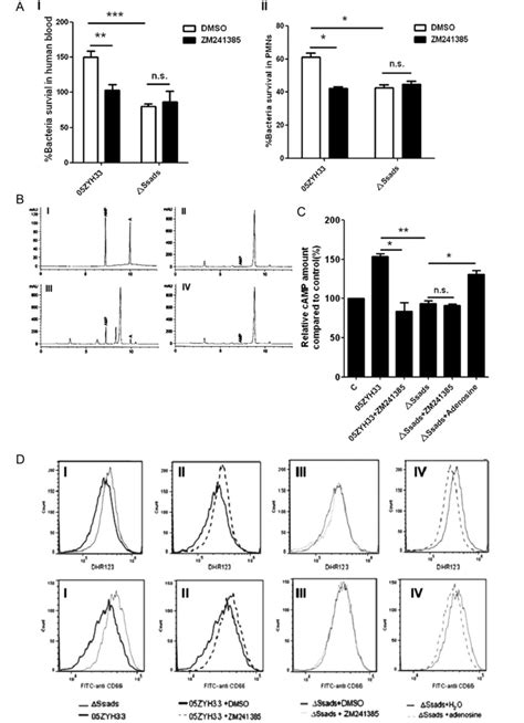 Adenosine A2a Receptor On Pmns Mediates The Contribution Of Ssads To S