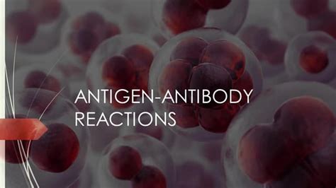 ANTIGEN-ANTIBODY REACTIONS for medical college | PPT