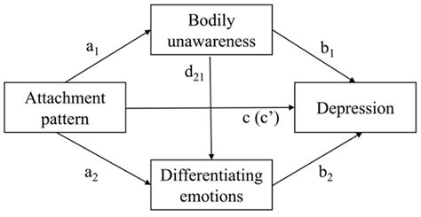 Behavioral Sciences Free Full Text Attachment And Depressive