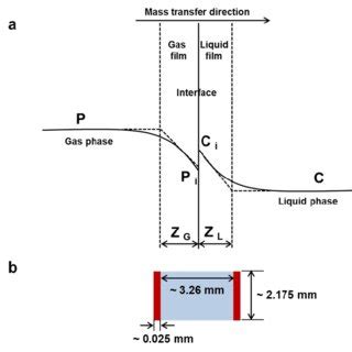 Fig S2 A Schematic Diagram Describing The Two Film Theory For