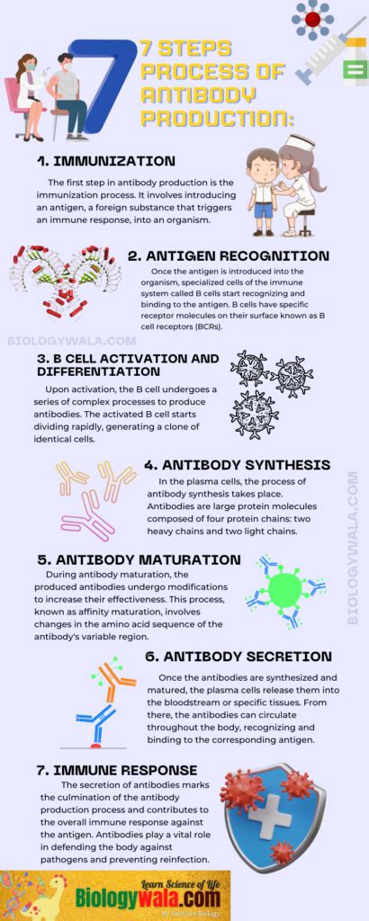 [pdf] Antibody Production Notes 7 Comprehensive Steps