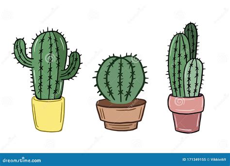 Un Conjunto De Cactus Dibujo Vectorial De Cactus Al Estilo De Las Caricaturas Imagen En Color De