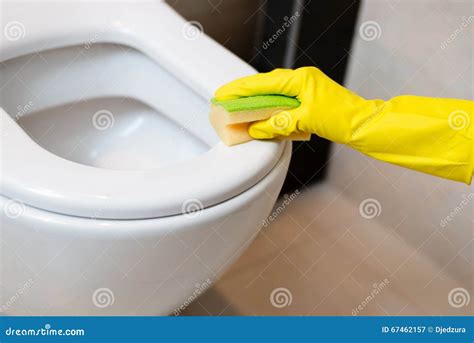 Cleaning Toilet In Wc With Yellow Sponge Stock Image Image Of Ceramic