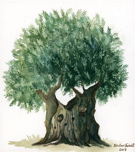 Gethsemane Olive Tree | Artwork, Landscape & Village Life, Prints ...