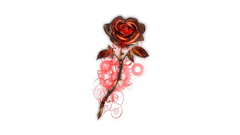 Red Rose Flower Painting Rose Steampunk Digital Art Hd Wallpaper