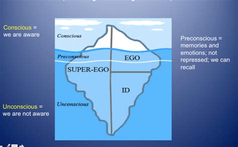 Theories Of Personality Exam 1 Flashcards Quizlet