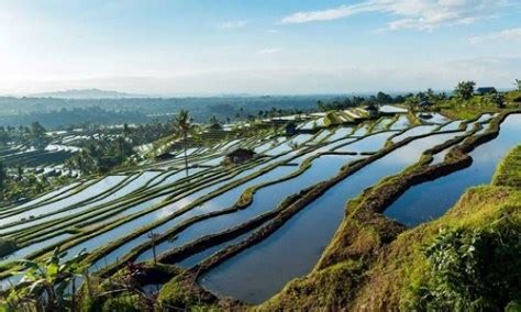 Jatiluwih Cycling Tour - Bali Adventure Tours - Inclusive Bali Tour