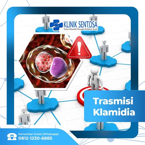 Waspada Transmisi Penyakit Klamidia Harus Diperhatikan Klinik Utama