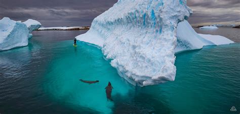 Айсберг Фото Под Водой Telegraph