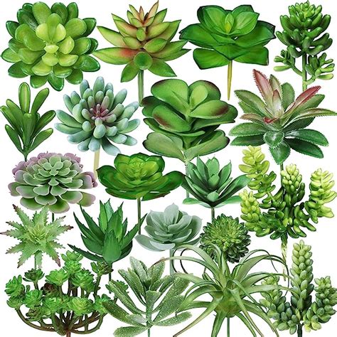 Amazon Winlyn 20 Pcs Assorted Artificial Succulents Plants