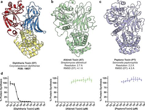 Structures And Functions Of Remote Diphtheria Toxin Homologs A Crystal