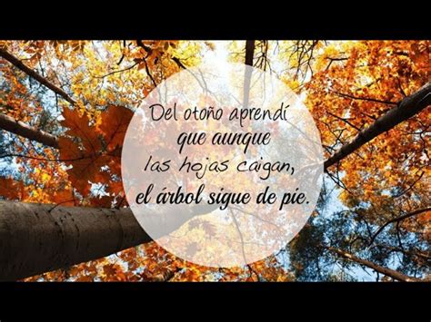 Frases De Otoño Para Fotos Frases Bonitas Tu Portal De Referencia