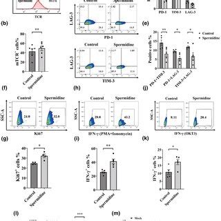 Restoring Autophagic Flux Improves The In Vivo Antitumor Activity Of