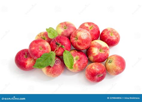 Muchas Manzanas Rojas Maduras Sobre Un Fondo Blanco Foto De Archivo