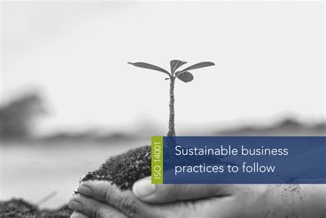 Sustainable Business Practices To Follow Imsm Nz