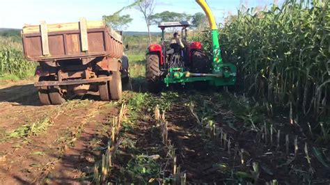 Colheita de Silagem Fazenda Canaã 2018 YouTube