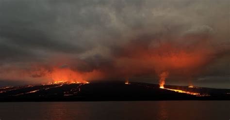 RED ECOLOGICA PORTUGUESA Actividad alta en el volcán Sierra Negra de