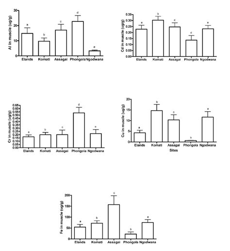 The Mean Metal Concentration In The Muscle From L Polylepis At The