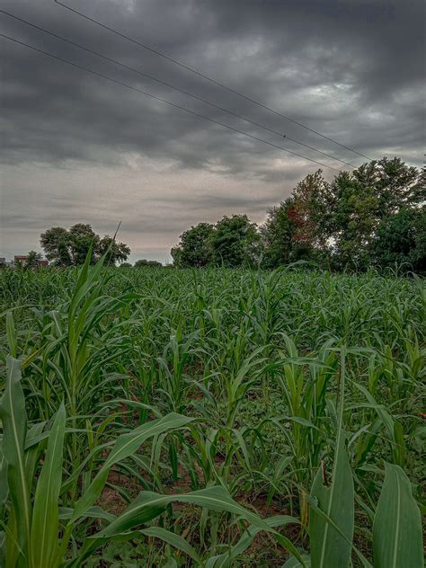 Panorama Nuvens Verde Foto Gratuita No Pixabay Pixabay