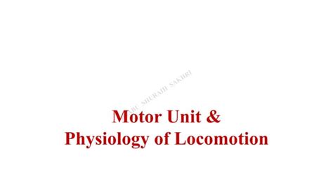 Motor Unit & Physiology of Locomotion | PPT