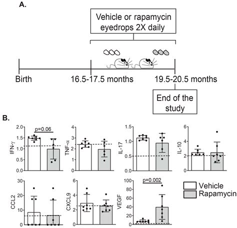 Ijms Free Full Text Rapamycin Eyedrops Increased Cd4foxp3 Cells And Prevented Goblet Cell