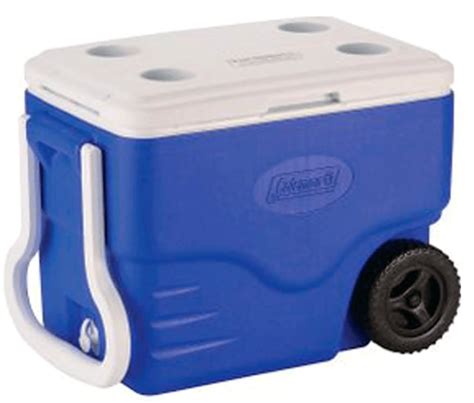 No Cualquier Hielo Sirve Consejos Para Enfriar Tragos Coolers Y