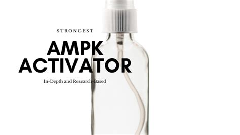 Best Ampk Activator Supplements In Depth Research And Reviews