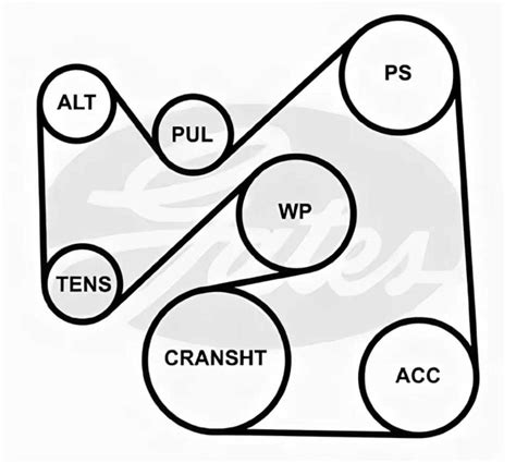 Guide To The Serpentine Belt Diagram For The 2010 Mazda Cx 7