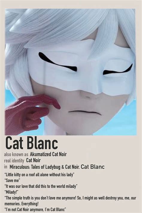 character polaroid cat blanc fondos  fotografia imprimir sobres