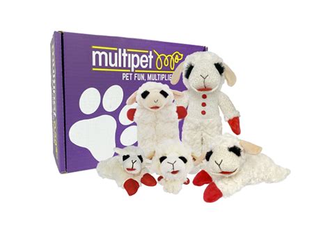 Lamb Chop® Box Multipet