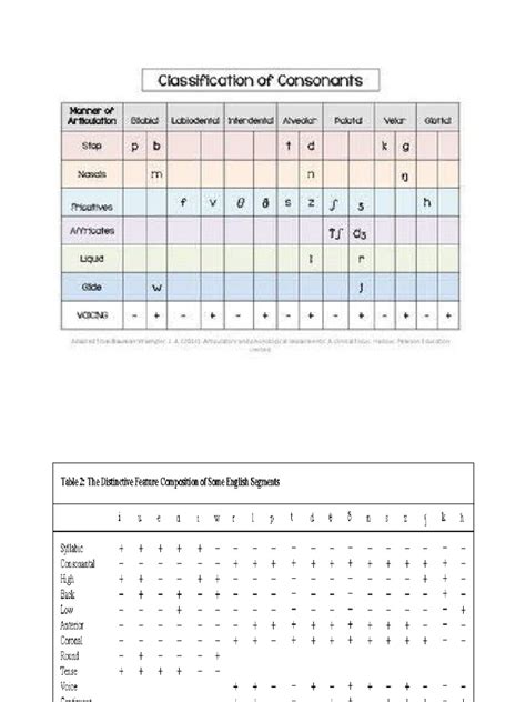 Phonological Features | PDF