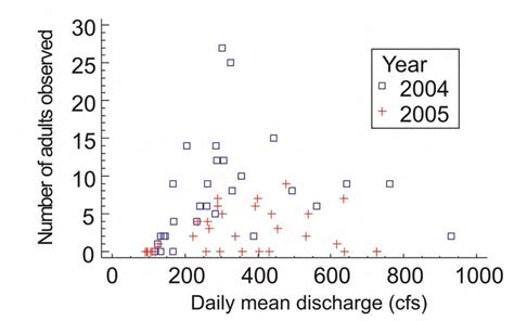 7 Number Of Mature Adult Pacific Lampreys On The Focal Area Versus