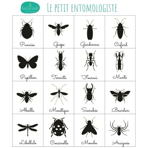 Les Petites B Tes Du Jardin Artofit