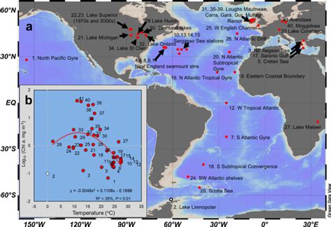 Steeper Size Spectra With Decreasing Phytoplankton Biomass Indicate