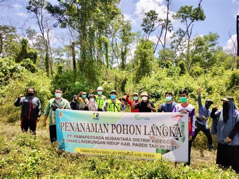 Jaga Kelestarian Hutan Pt Pama Tanam Bibit Pohon Langka Di Tahura Lati