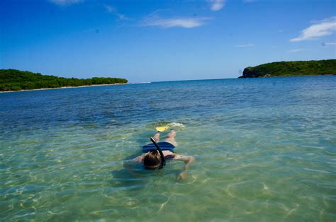 vieques island snorkeling - Something In Her Ramblings