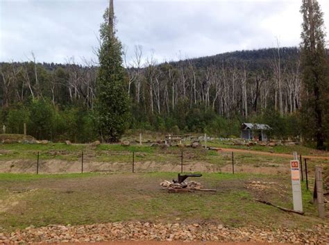 Camping At Murrindindi Scenic Reserve