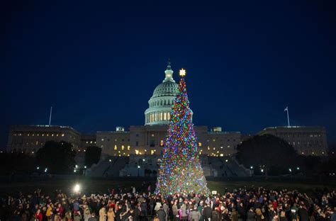 The Capitol Christmas Tree Is Lit