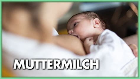 Muttermilch Natürliche Nahrung und mehr Welt Der Gesundheit