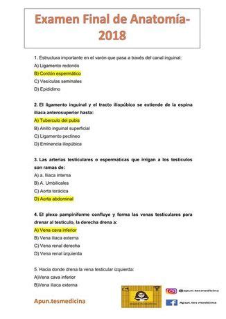 Trigo Embotellamiento Las Bacterias Prueba De Anatomia Aburrido Chorro