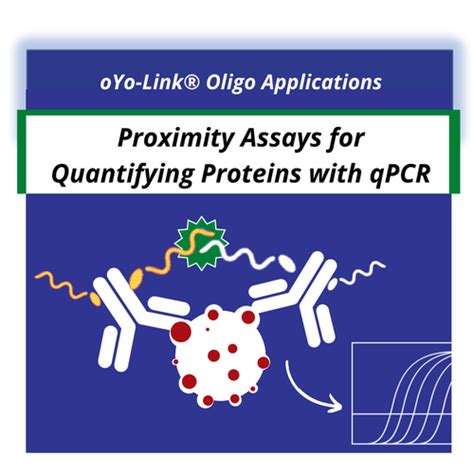 Proximity Assays With Antibody Oligo Conjugates Alphathera