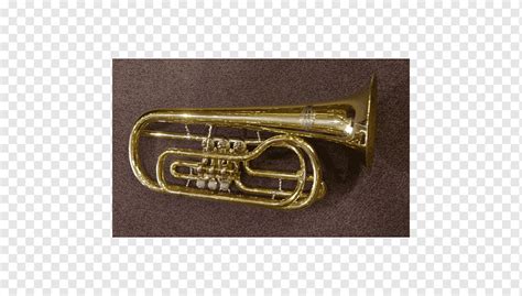 Cornet Saxhorn Tenor Horn Flugelhorn Trumpet Trumpet Brass Instrument