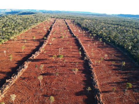 Meio Ambiente Governo E Setor Produtivo Assinam Pacto Para Zerar