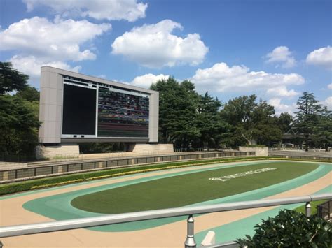 【マミリアス／リナーシェ】2月27・28日3歳未勝利戦結果 徒然なる回遊記〜競馬備忘録〜