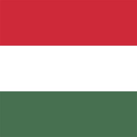 Hungary flag, official colors. Vector illustration. 8972714 Vector Art at Vecteezy