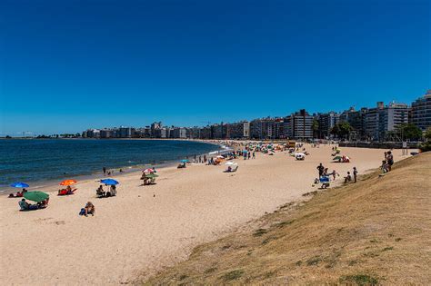 beach  downtown montevideo uruguay license image